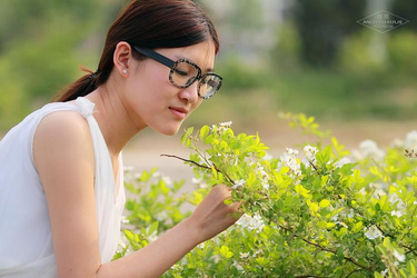 成人h软件入口下载安装流程示意图